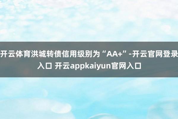 开云体育洪城转债信用级别为“AA+”-开云官网登录入口 开云appkaiyun官网入口