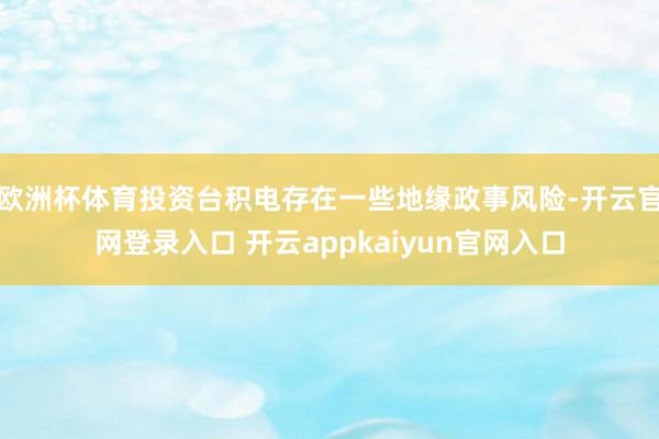 欧洲杯体育投资台积电存在一些地缘政事风险-开云官网登录入口 开云appkaiyun官网入口