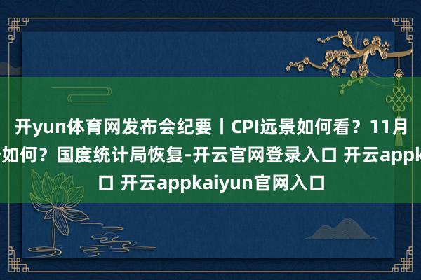 开yun体育网发布会纪要丨CPI远景如何看？11月房地产市集走势如何？国度统计局恢复-开云官网登录入口 开云appkaiyun官网入口