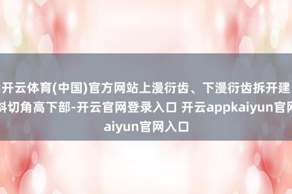 开云体育(中国)官方网站上漫衍齿、下漫衍齿拆开建树在斜切角高下部-开云官网登录入口 开云appkaiyun官网入口