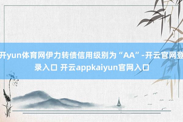 开yun体育网伊力转债信用级别为“AA”-开云官网登录入口 开云appkaiyun官网入口